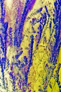 N 042A